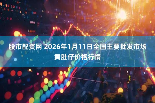 股市配资网 2026年1月11日全国主要批发市场黄肚仔价格行情