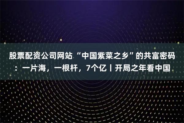 股票配资公司网站 “中国紫菜之乡”的共富密码：一片海，一根杆，7个亿丨开局之年看中国